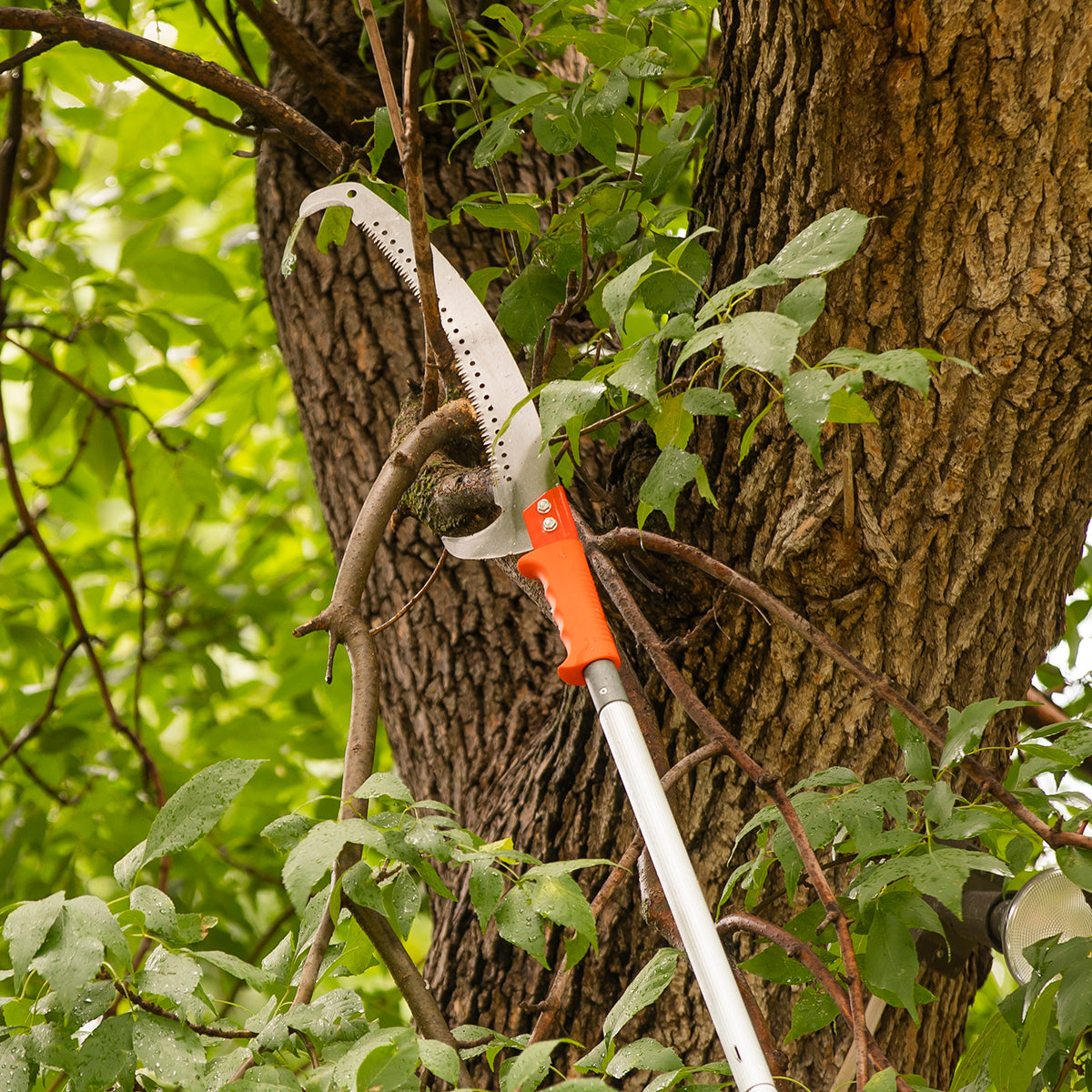 Pruning Saw with 16' Extension Pole, Case of 5